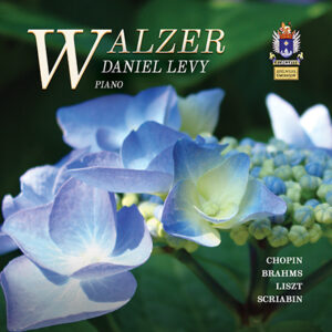 Walzer by Daniel Levy